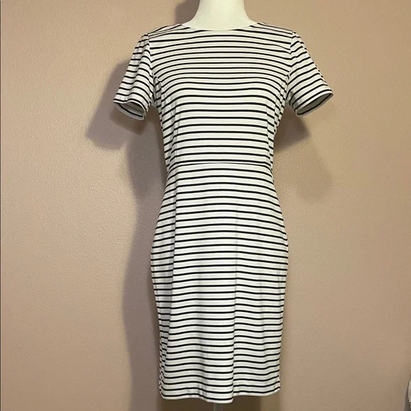 Banana Republic Black White Striped Sheath Dress
(Belt not included) - Picture 4 of 7